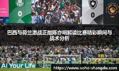 巴西与荷兰激战正酣陈亦明解读比赛精彩瞬间与战术分析