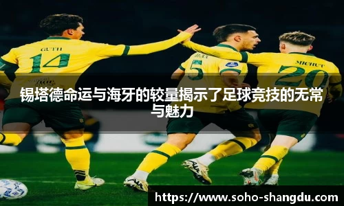 BB贝博ballbet登录人口