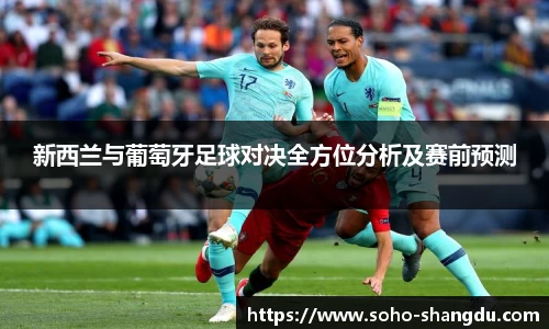 新西兰与葡萄牙足球对决全方位分析及赛前预测